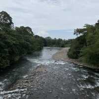 Tirimbina hikes and lodge