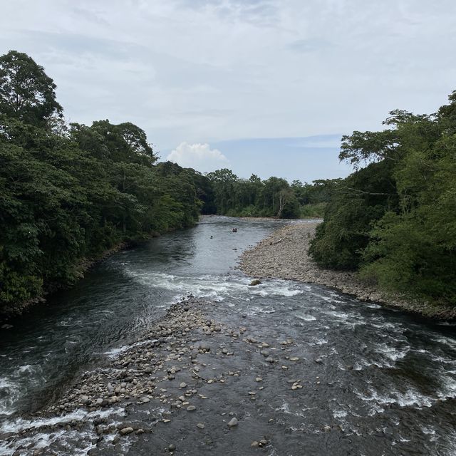Tirimbina hikes and lodge