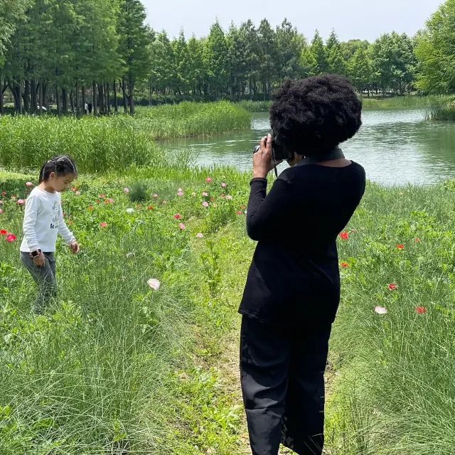 Summer shoot at Huqiu Wetland park in Suzhou 