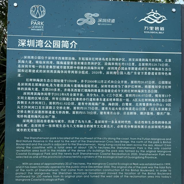打卡深圳灣公園