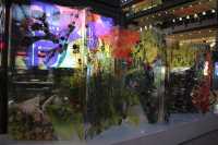 Enjoy shopping and art 