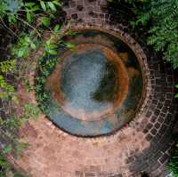 Wellness Oasis | Rainforest Yunnan
