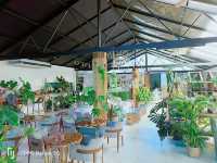 BIX CAFE' คาเฟ่ต้นไม้สไตล์เกาหลี