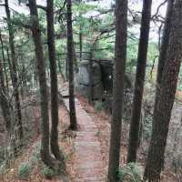 brand new plank rd on East Fortress Trail