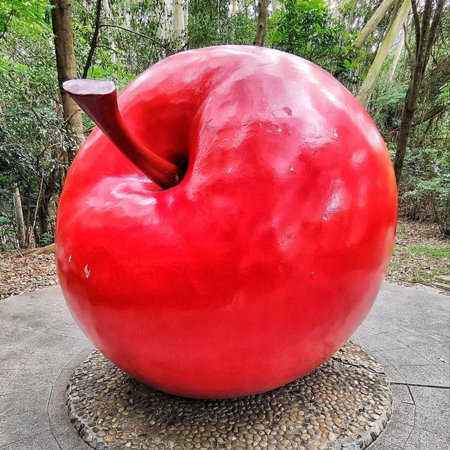 A natural oasis in the heart of Shenzhen! 