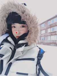 Nordic Travel | This is the unique coldness and pride of the Nordic.