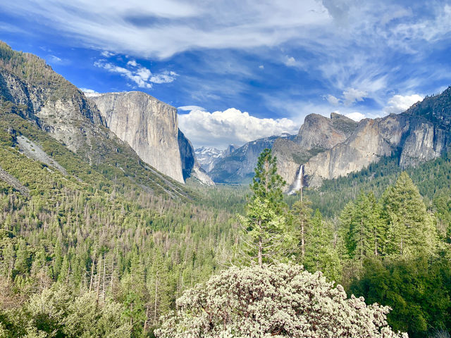 California | Yosemite National Park Photo Sharing 2