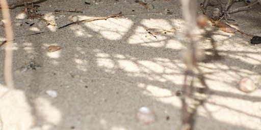 SOUND WALK w Daniel Harrison | CURRENT GALLERY