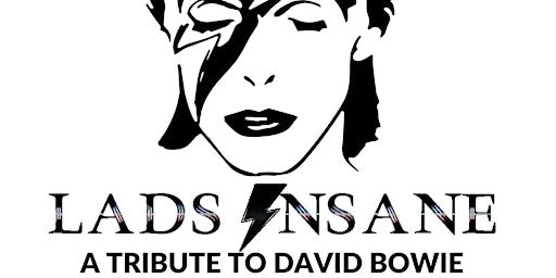 A tribute to David Bowie - Live in Concert feat: Lads Insane | The Bernard Shaw