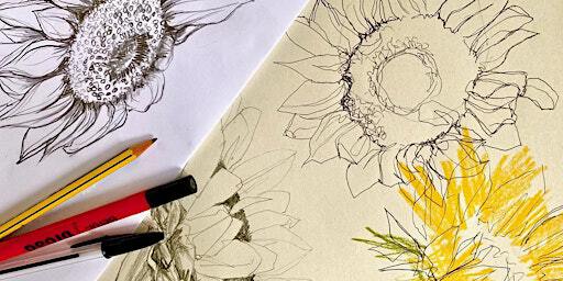 Look See Draw: Four-Week Drawing Course | The Burton at Bideford