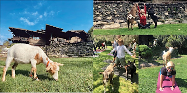 9am Baby Goat Yoga at the Gamble House | The Gamble House