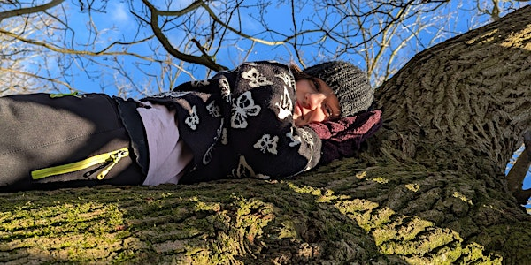 Wild Kids: Forest weekday fun 11-16yrs June Fox EFC 2801 | Foxburrow Nature Reserve