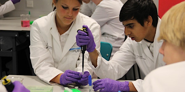 Holiday workshops: Forensics (ages 15–18) | The Royal Institution