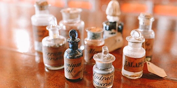 The Apothecarist: Herbal Medicine Making Course - 2025 | Herbal Medics Academy