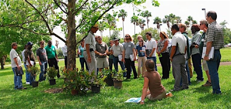 TREE LAB WORKSHOP | This class is at UF/IFAS Extension Auditorium.