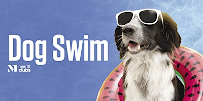 Dog Swim (Fort Avenue) | Merritt Clubs Fort Avenue/Federal Hill