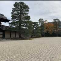 京都[紅葉めぐり] 絶景の天龍寺