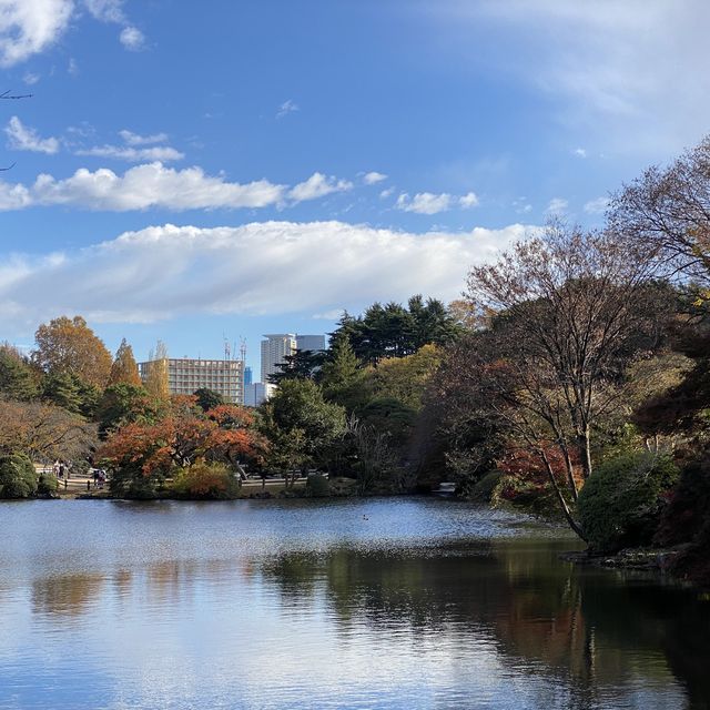 紅葉の新宿御苑・中の池