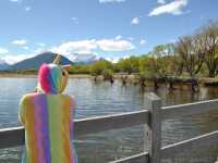 Experience Paradise on Earth in Glenorchy ✨
