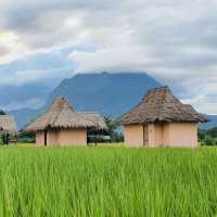 ที่พักวิวธรรมชาติ