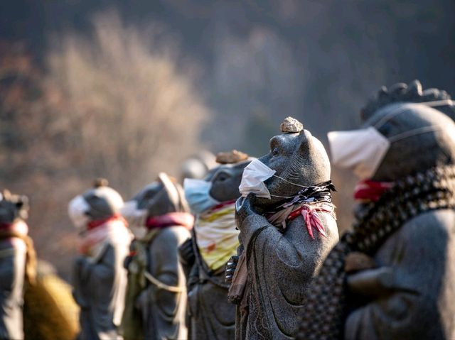여권없이 떠나는 세계 불교 여행, 용인 '와우정사'