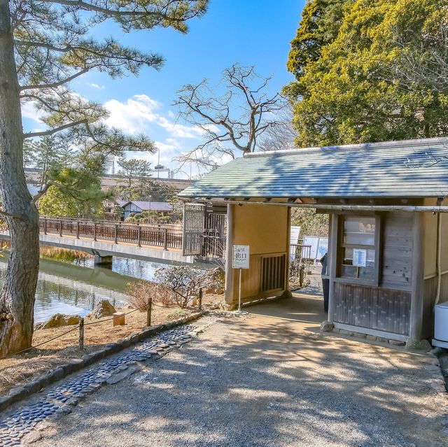 三溪園南門と梅の花