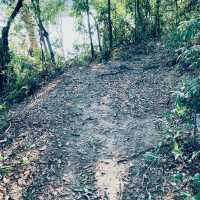 行山路線推介 城門水塘