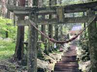 【熊本県】一度は見たい絶景神社でパワーチャージ⛩