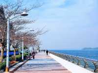 馬鞍山無敵海景