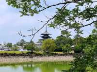 週末の旅【興福寺in奈良】