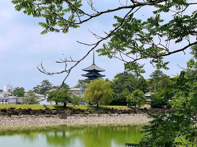 週末の旅【興福寺in奈良】