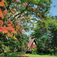 สถานที่ unseen แต่ต้องแลกกับการเดิน