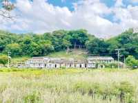 谷埔