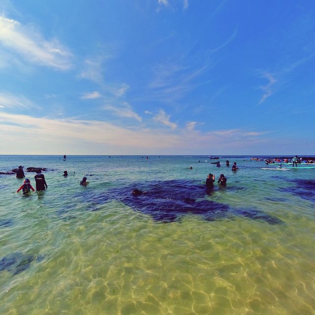 🏖 용천수 샤워장이 매력적인 곳, 곽지해수욕장