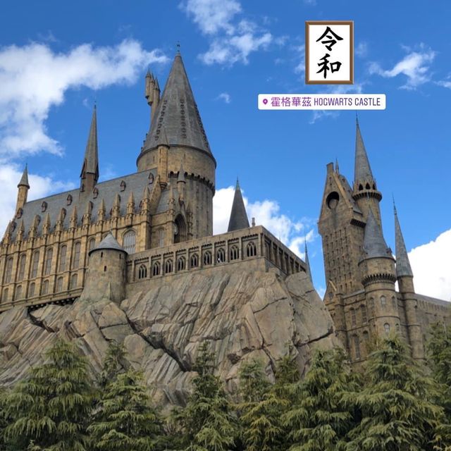 The Wizarding World of Harry Potter 