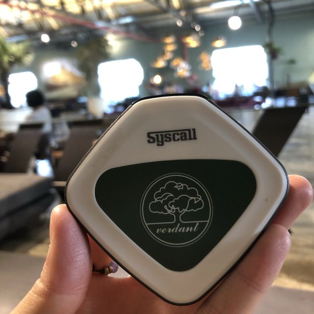 청도 핫플 버던트 🌿