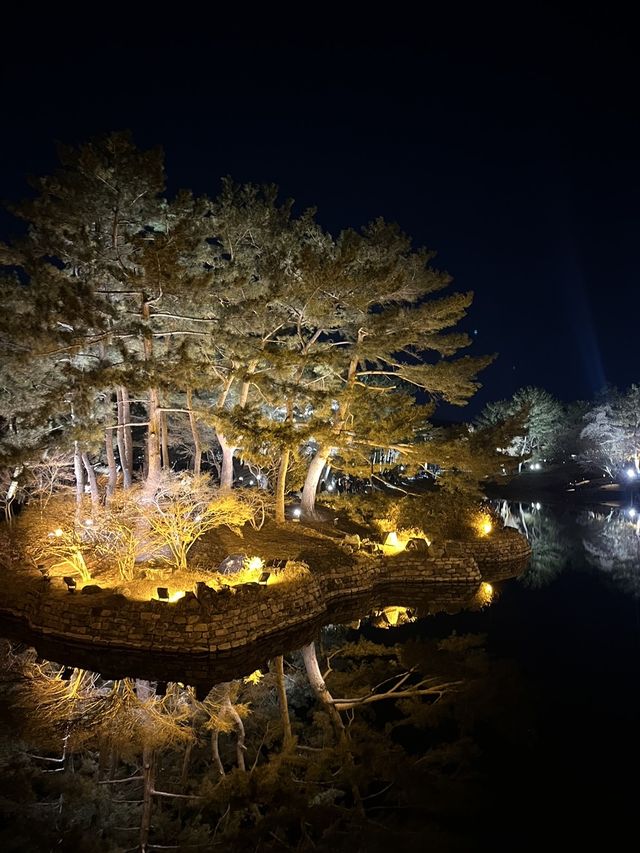 경주 야경이 아름다운 '동궁과 월지' 🎑