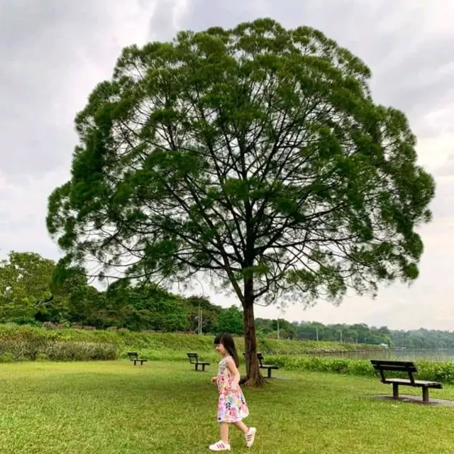 Upper Seletar Reservoir Park