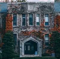 Fall foliage in Yonsei university