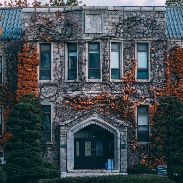 Fall foliage in Yonsei university