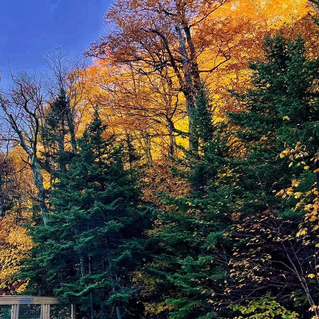 Perfect fall reflection on Profile Lake