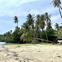 เกาะแตน ชมปะการัง