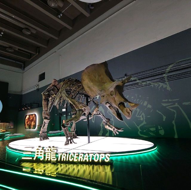 到此一遊之🦖恐龍展🦕(展期延至22/2）