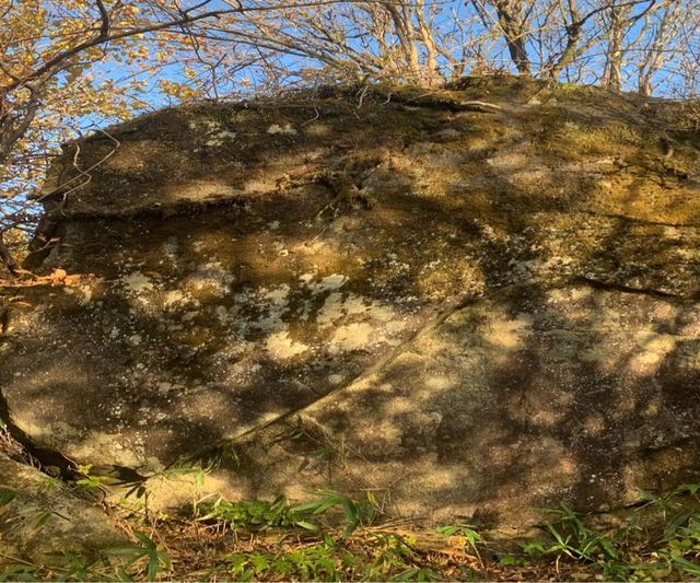 圧巻の景色広がる！お手軽登山が可能な筑波山