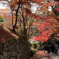 京都の中でも紅葉の穴場スポット　毘沙門堂