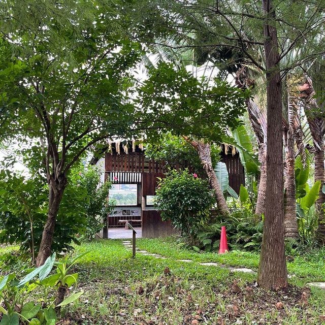 Macau Wetland of Beach Avenue,Taipa