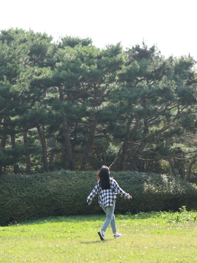 인천가면 꼭 인천대공원에서 산책하기🚶‍♂️🚶‍♀️