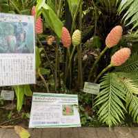 京都府立植物園の温室
