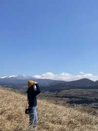 한라산이 보이는 제주도 새별오름 🌾