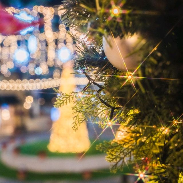 🎄대형트리와 사람없이 사진찍을 수 있는 부산스팟! [부산, 신세계프리미엄아울렛]